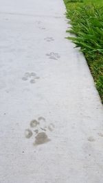 High angle view of sand on beach