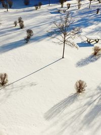 Scenic view of snow on field