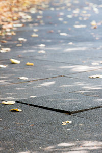 High angle view of leaves on road in city