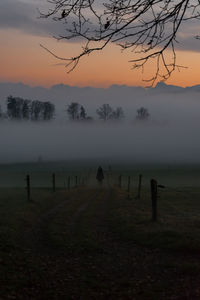 Scenic shot of misty landscape