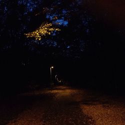 View of road at night