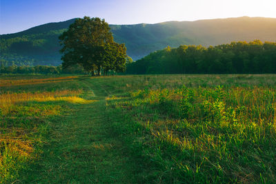 Scenic view of landscape against mountains and sky