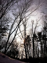 Low angle view of bare trees against sky