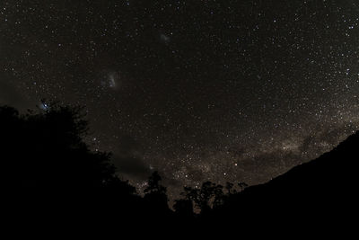 Low angle view of trees against sky at night