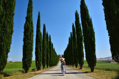 Woman walking amidst trees against clear sky