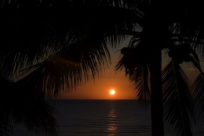 Silhouette palm tree by sea against sky during sunset