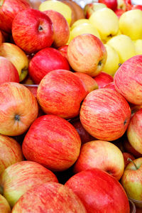 Close-up of beautiful red and yellow pinstripe apples.