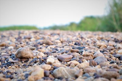 Close-up of stones on beach