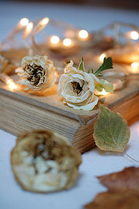 Close-up of food on table