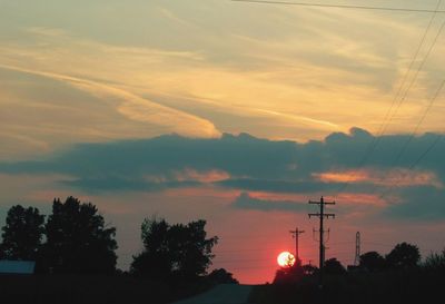 Silhouette of trees at sunset