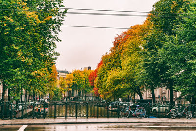 Trees by autumn in city against sky