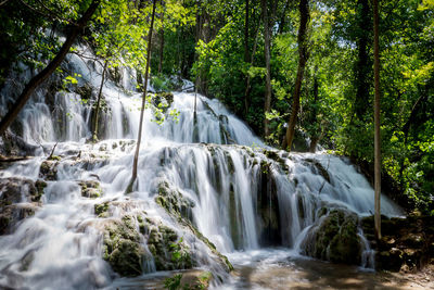 Scenic view of waterfall in forest