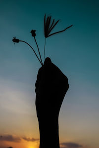 Close-up of silhouette hand holding plant against sky during sunset