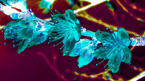 Close-up of water drops on multi colored leaves