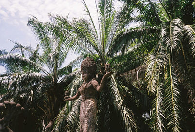 Low angle view of palm trees against sky