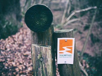 Close-up of information sign on tree trunk