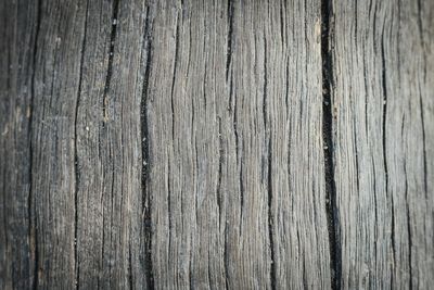 Full frame shot of wooden planks