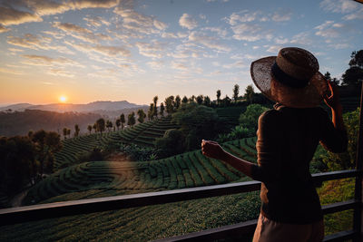 Asian female tourists admire the beauty of tea plantations in the morning, chiang rai, thailand.