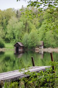 Scenic view of lake by trees in forest