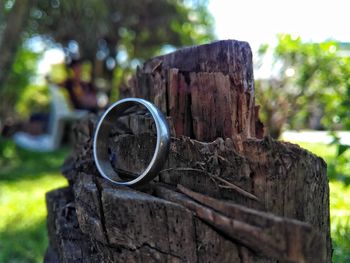 Close-up of wood against trees