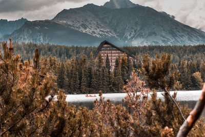 Scenic view of snowcapped mountains against sky during autumn