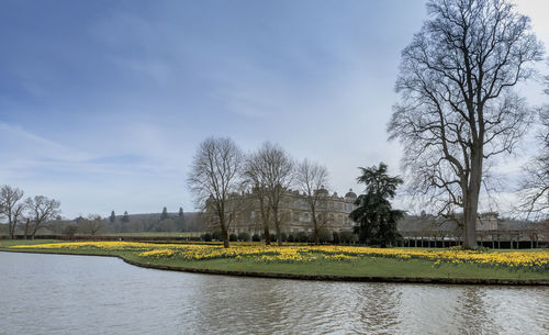 Scenic view of river by trees against sky