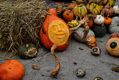 The pumpkin photo was taken at the pumpkin exhibition in the blooming baroque in ludwigsburg.