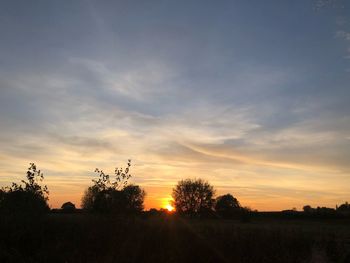 Silhouette trees on field against sky during sunset