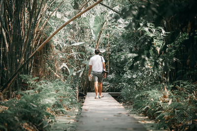 Rear view of man walking on footpath in forest