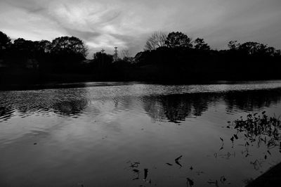 Silhouette trees by lake against sky