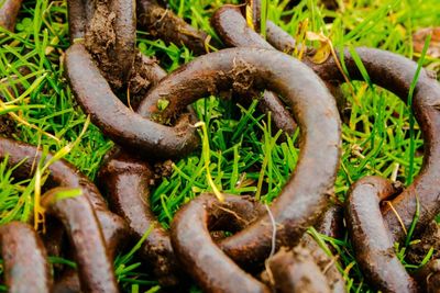 High angle view of rusty chain on field