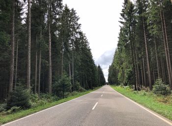 Empty road amidst trees in forest against sky