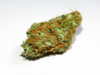 Close-up of food against white background