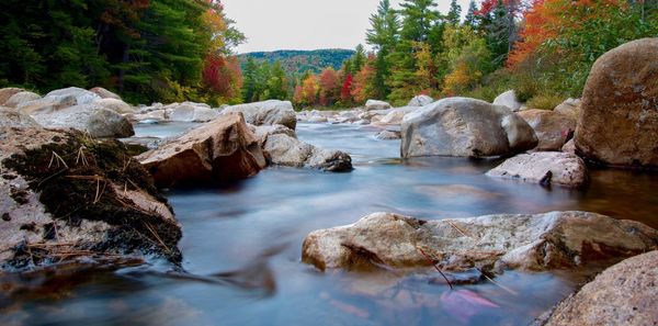 Close-up of rocks in river