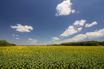 Scenic view of field against cloudy sky