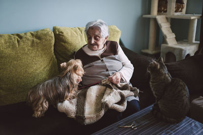 Senior woman sitting on the coach of her living room with her yorkshire terrier while her cat watching them
