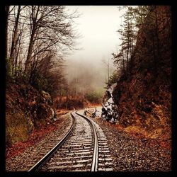 View of railway tracks along bare trees