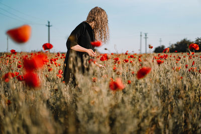 Close-up of red poppy flowers in field