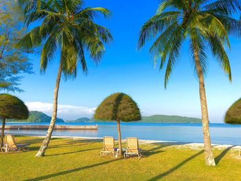 Palm trees by sea against sky