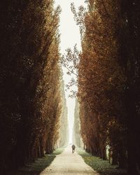 People walking on road