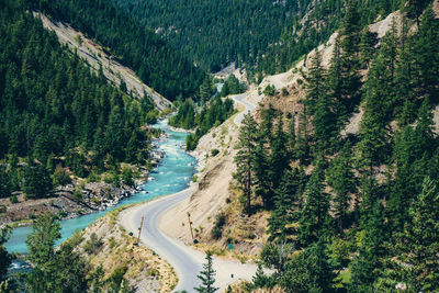 High angle view of winding road amidst trees in forest