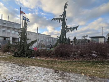 Buildings and trees on field against sky