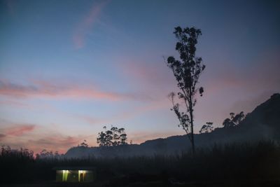 Silhouette trees on landscape against sky at sunset