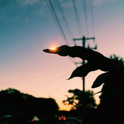 Silhouette man against sky during sunset