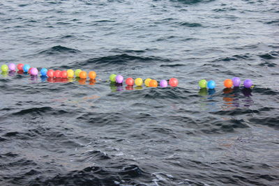 People enjoying in sea