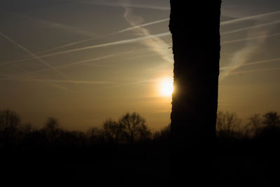 Silhouette trees against sky during sunset