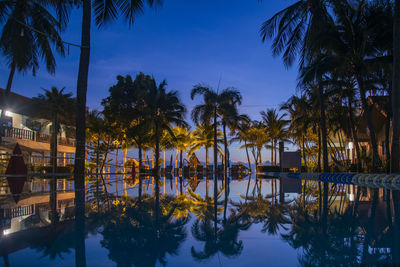 Reflection of palm trees in calm lake against sky