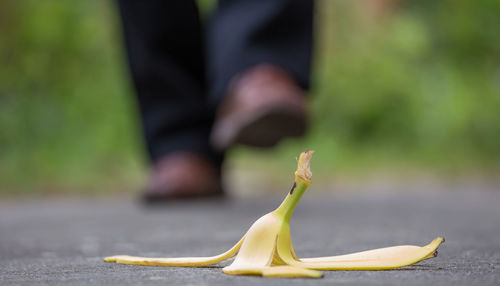 A pedestrian and a banana peel are on a walkway