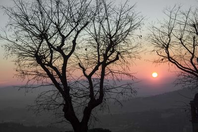 Silhouette bare tree against sky during sunset