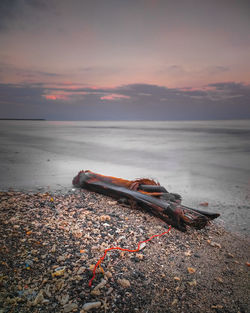 Driftwood on beach against sky during sunset